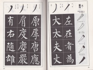book-kai-shu 2